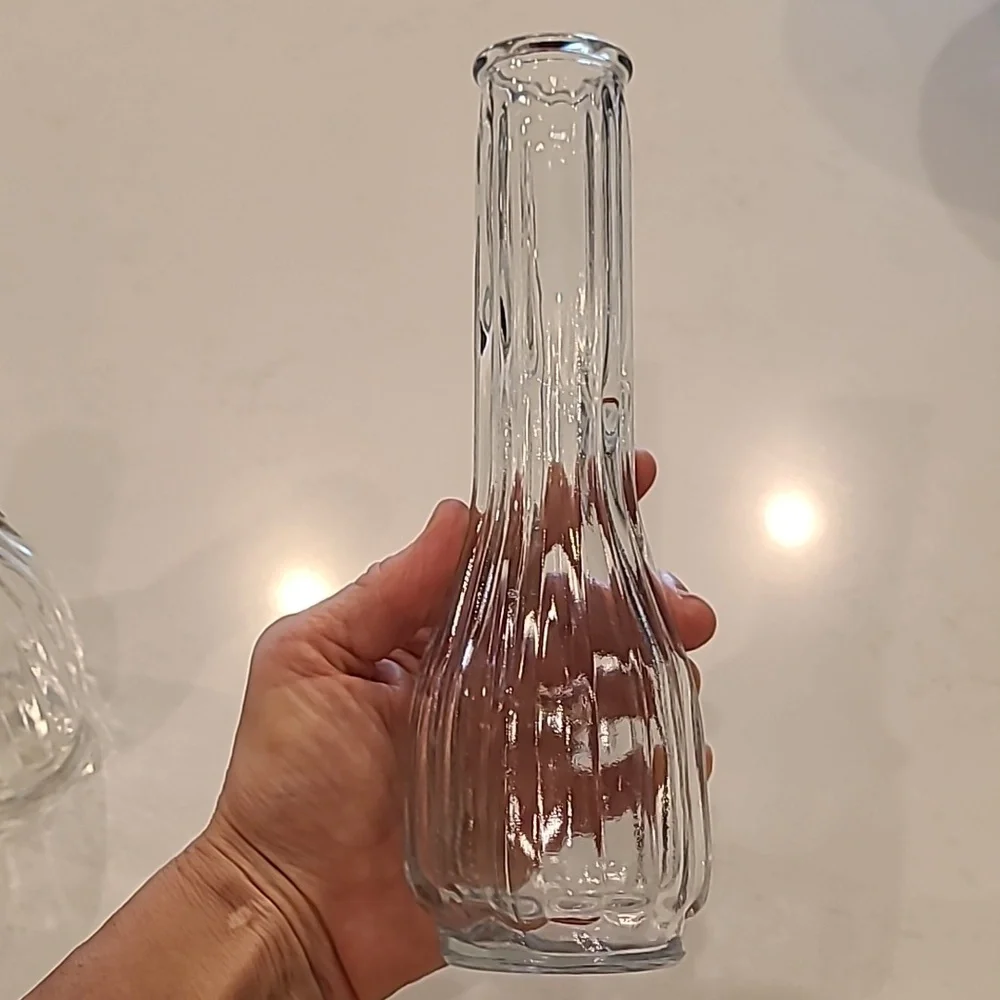 Elegant Clear Glass Vases - Set of 2
